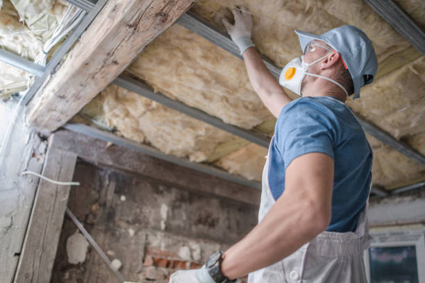 Best Residential Insulation in Carney, MD