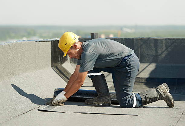 Best Geographic-Specific Insulation Services in Carney, MD