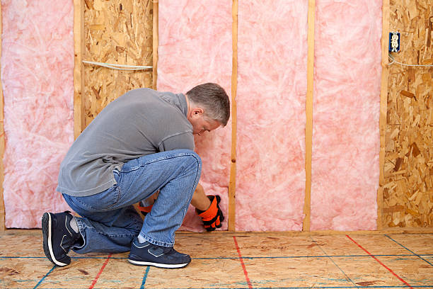 Best Fiberglass Insulation in Carney, MD
