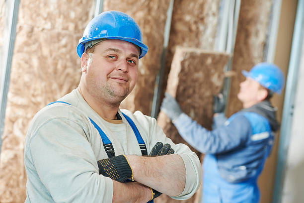 Best Energy Efficiency Insulation in Carney, MD