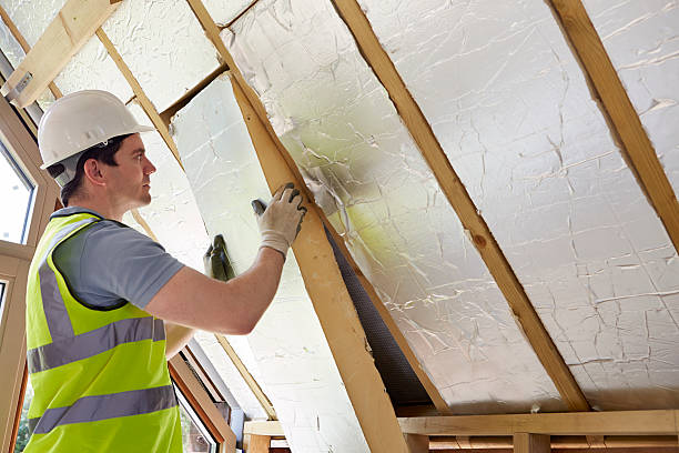 Best Blown-in Insulation in Carney, MD